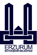 erzurum client-image