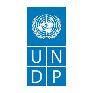 undp client-image